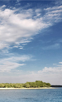 Barbariga beach